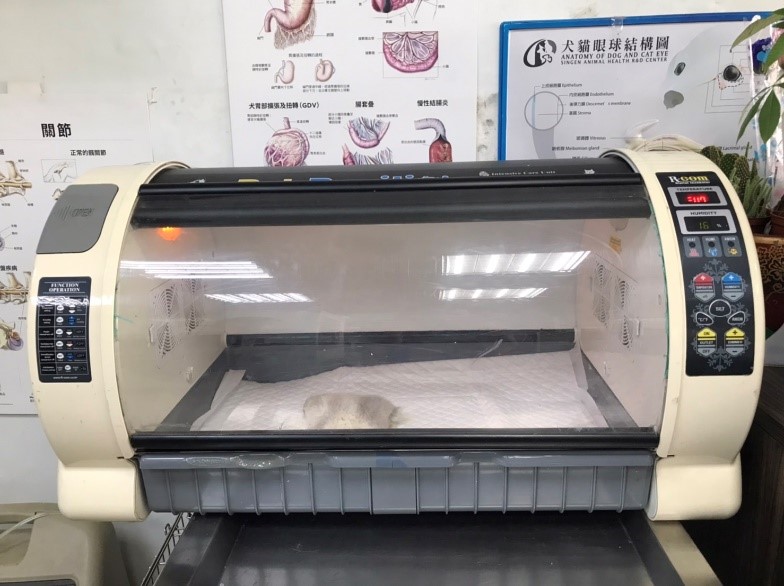 ICU氧氣病房能偵測維持溫度、濕度、氧氣和二氧化碳濃度。 圖:新北市動保處提供 ICU氧氣病房能偵測維持溫度、濕度、氧氣和二氧化碳濃度。 圖:新北市動保處提供