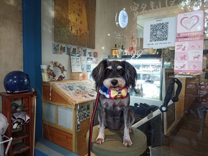 飼主白小姐和愛犬巧克到寵物友善店家喝下午茶,感謝店家提供寵物友善的用餐環境,拍照打卡還可以參加抽獎活動。 圖:新北市動保處提供 飼主白小姐和愛犬巧克到寵物友善店家喝下午茶,感謝店家提供寵物友善的用餐環境,拍照打卡還可以參加抽獎活動。 圖:新北市動保處提供