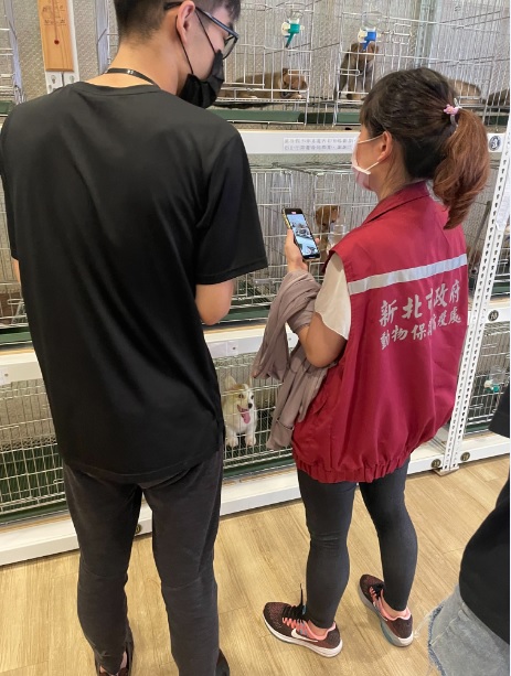 南雅寵物坊查核照片。 圖:新北市動保處提供 南雅寵物坊查核照片。 圖:新北市動保處提供
