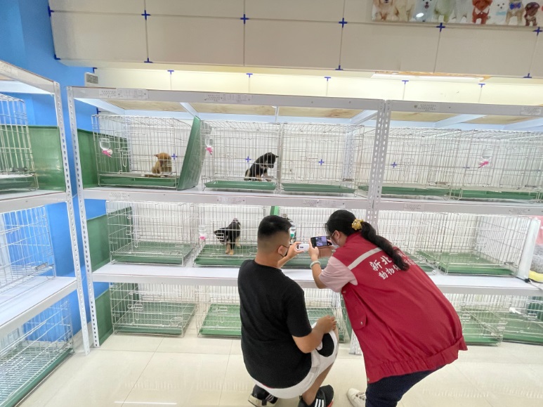 扉扉寵物犬舍查核照片。 圖:新北市動保處提供 扉扉寵物犬舍查核照片。 圖:新北市動保處提供