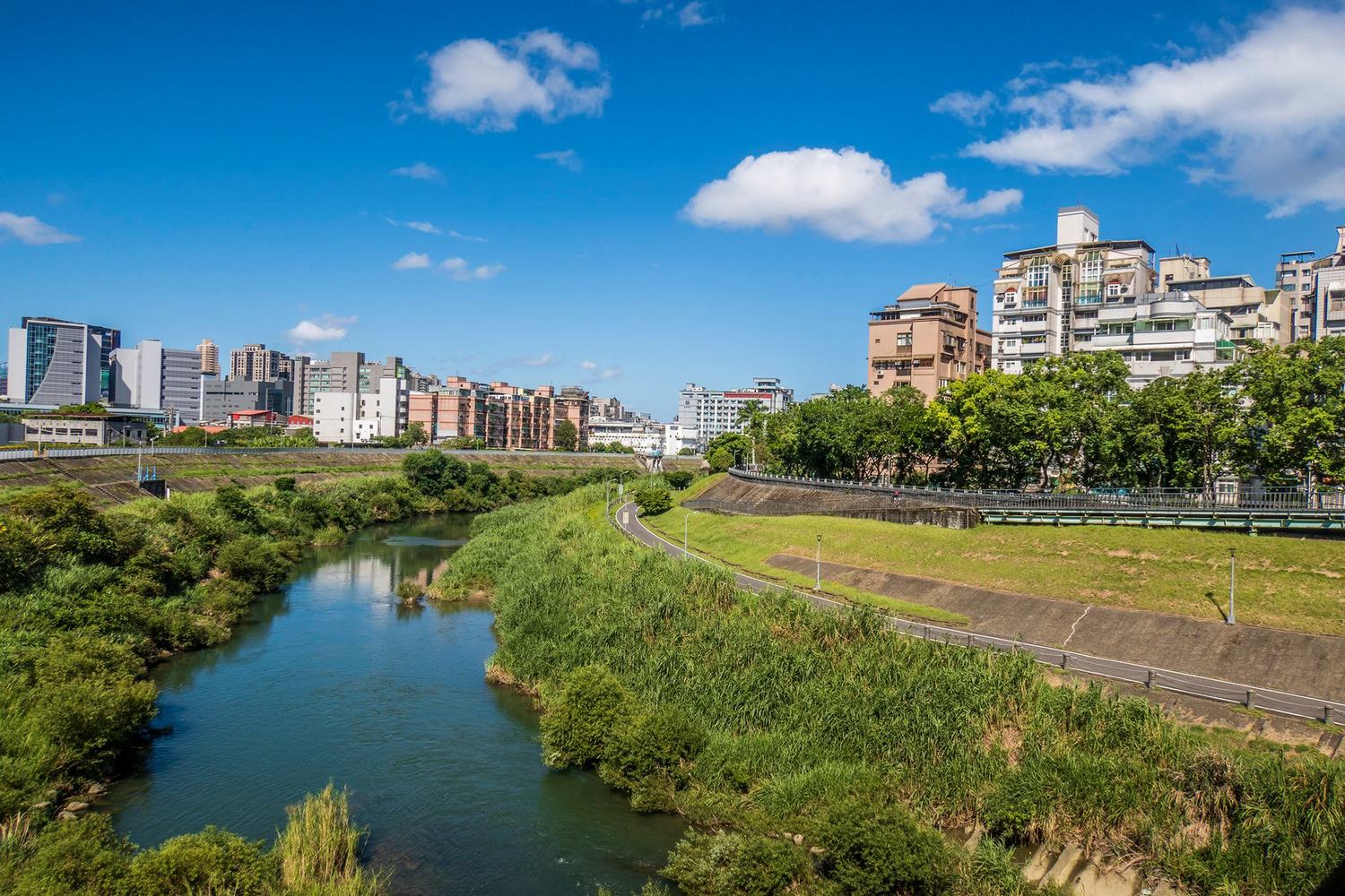 景美河濱公園自行車道沿線滿眼綠意。 圖:台北水利處/提供 景美河濱公園自行車道沿線滿眼綠意。 圖:台北水利處/提供