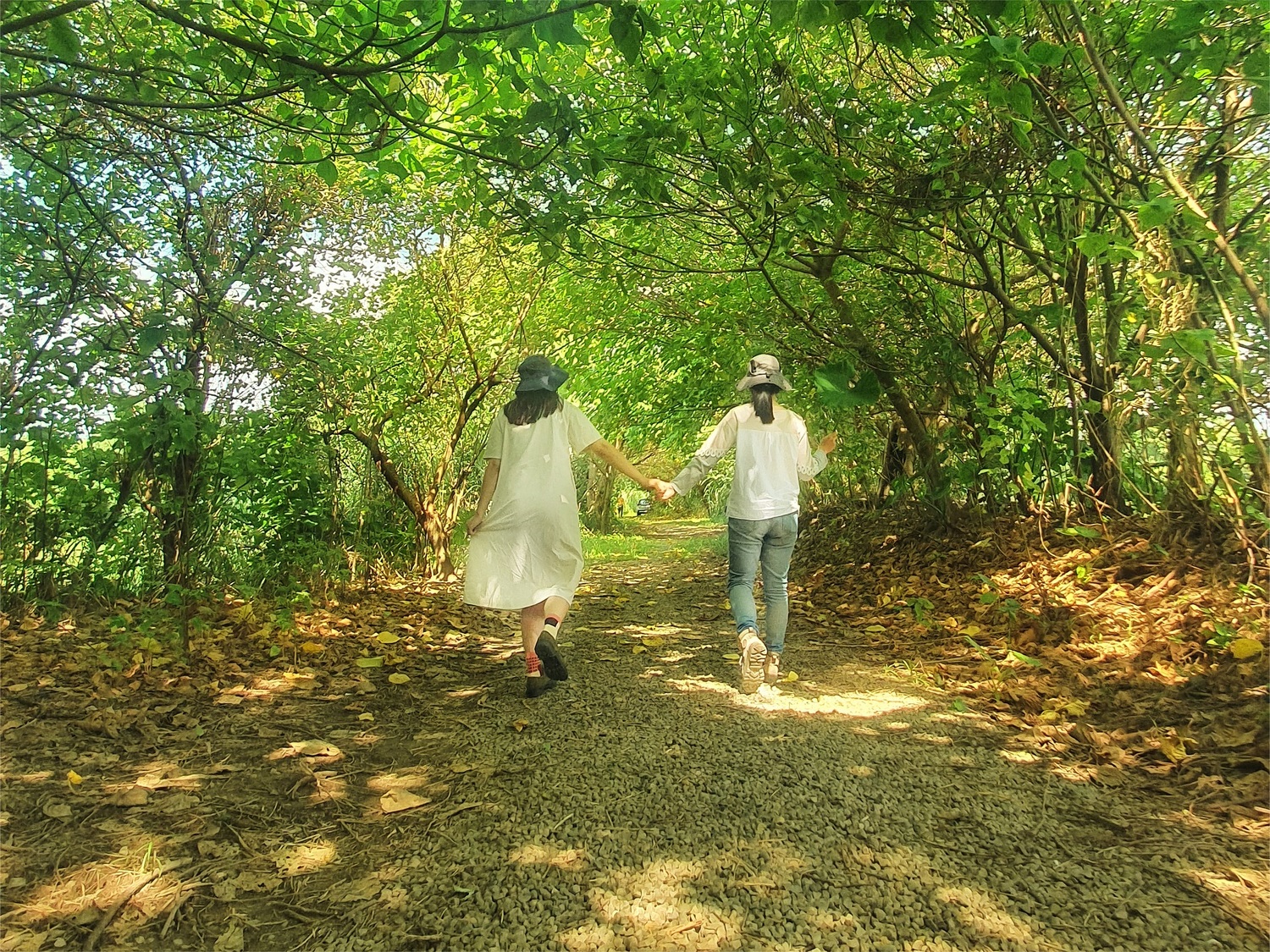 濕地導覽步道,兩旁樹木成蔭交疊,適合出遊。 圖:新北市水利局提供 濕地導覽步道,兩旁樹木成蔭交疊,適合出遊。 圖:新北市水利局提供