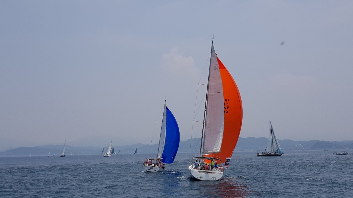 愛河灣鯨魚堤岸將舉辦「2021高雄國際帆船賽」。 圖:高雄市政府提供 愛河灣鯨魚堤岸將舉辦「2021高雄國際帆船賽」。 圖:高雄市政府提供