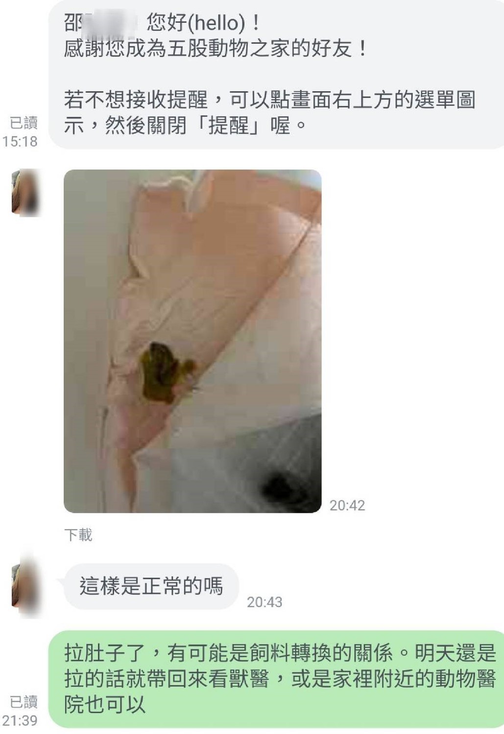 新北市政府動保處線上解答新飼主問題。 圖:新北市動保處提供 新北市政府動保處線上解答新飼主問題。 圖:新北市動保處提供