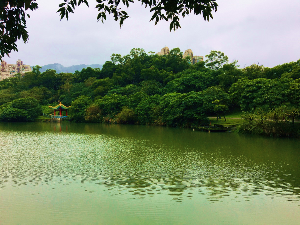 南港公園的湖畔。 圖:台北市政府公園路燈工程管理處/提供 南港公園的湖畔。 圖:台北市政府公園路燈工程管理處/提供