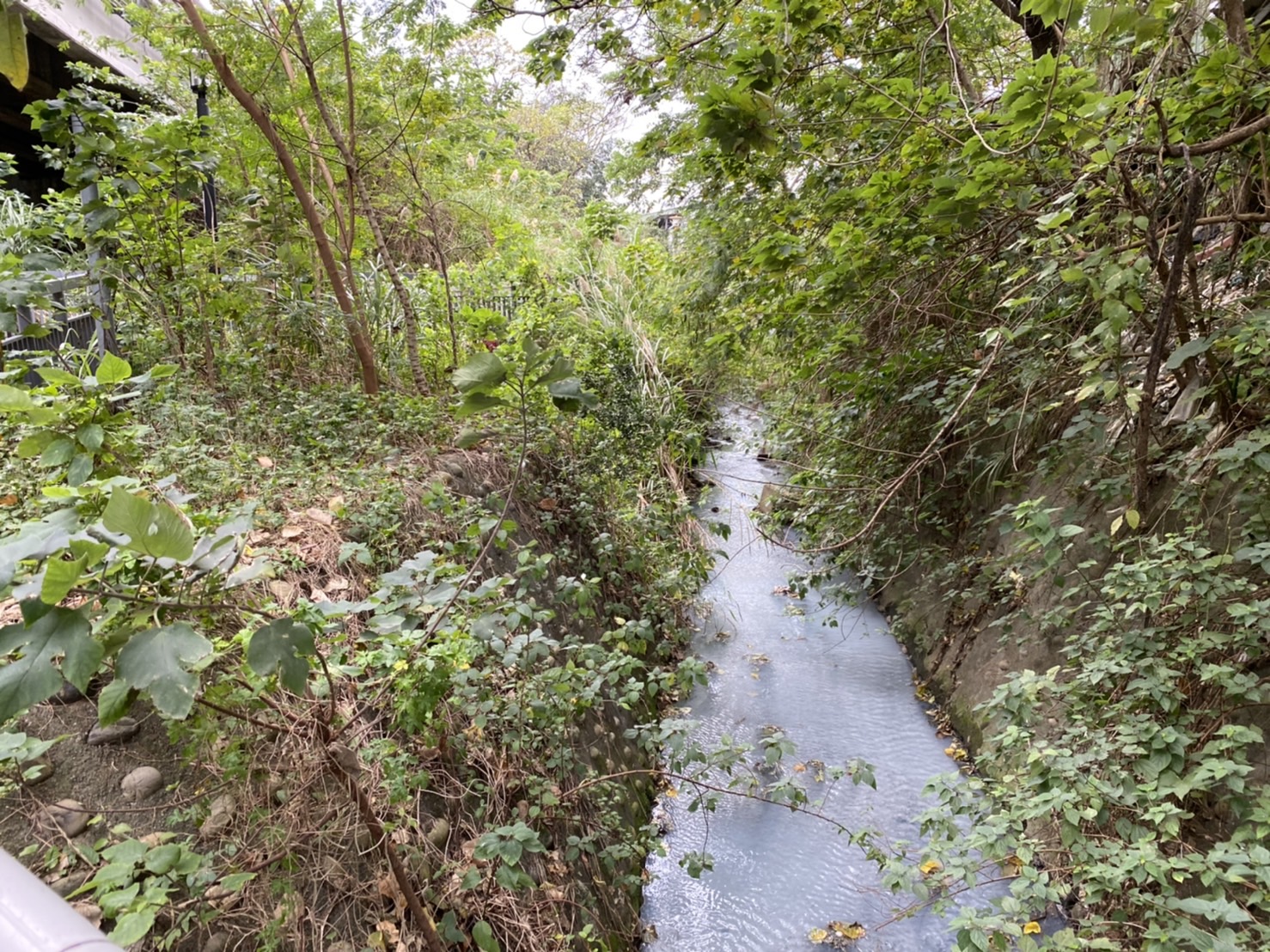 樹林區佳園路3段上某染整廠內管線破裂,造成廢水流出廠外。 圖:新北市環保局提供 樹林區佳園路3段上某染整廠內管線破裂,造成廢水流出廠外。 圖:新北市環保局提供