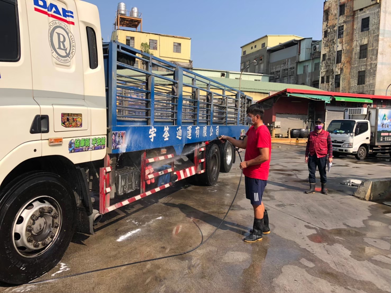 動保處防疫人員督導肉品市場運豬車司機落實清潔消毒工作。 圖:新北市動保處提供 動保處防疫人員督導肉品市場運豬車司機落實清潔消毒工作。 圖:新北市動保處提供