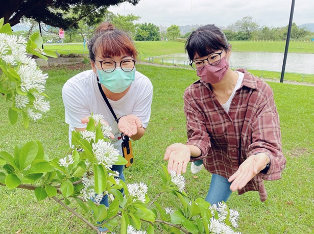 姐妹相約賞花去。 圖:新北市水利局提供 姐妹相約賞花去。 圖:新北市水利局提供
