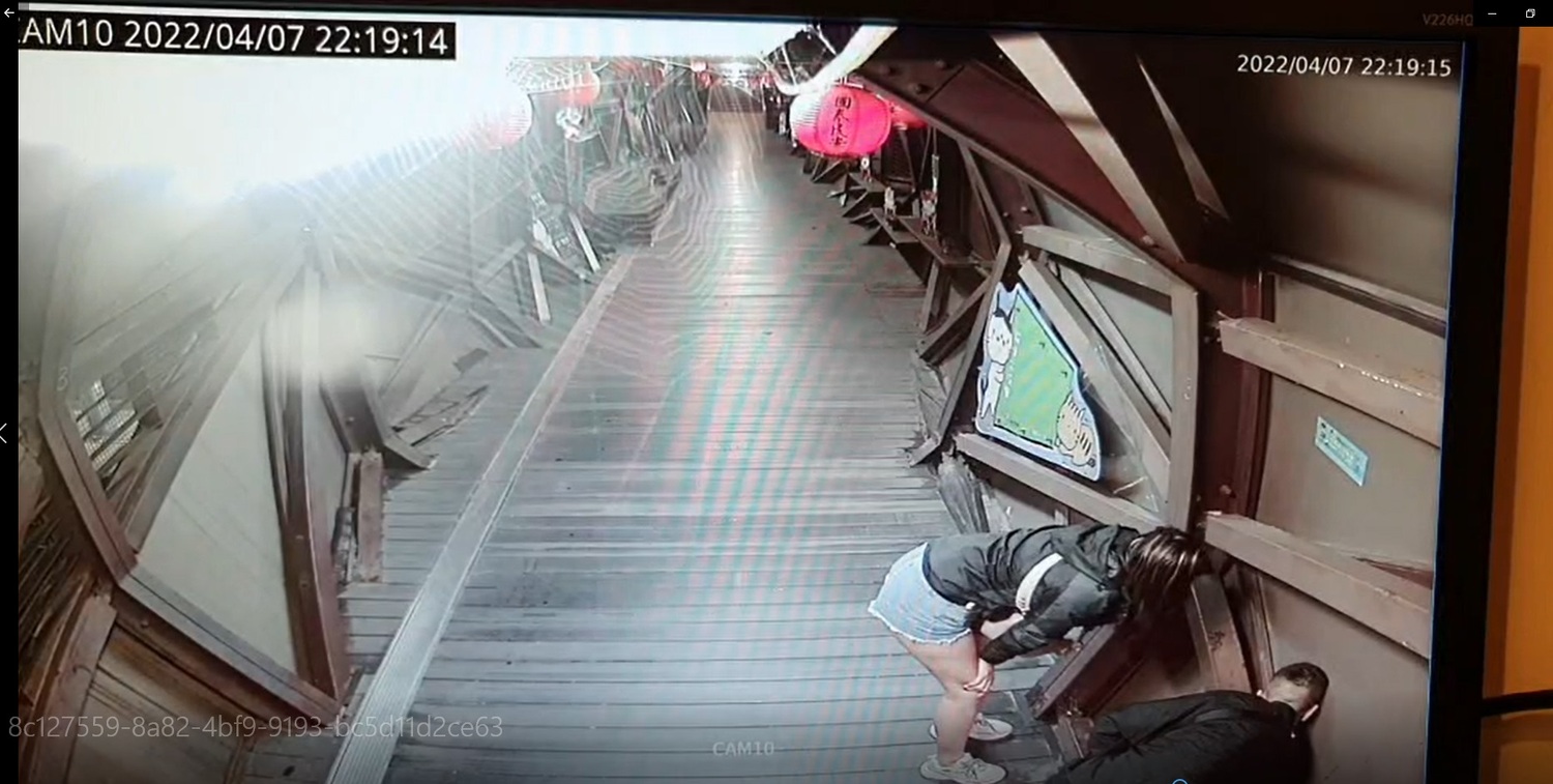 譚男及黃女兩人徘迴尋找。 圖:新北市動保處提供 譚男及黃女兩人徘迴尋找。 圖:新北市動保處提供