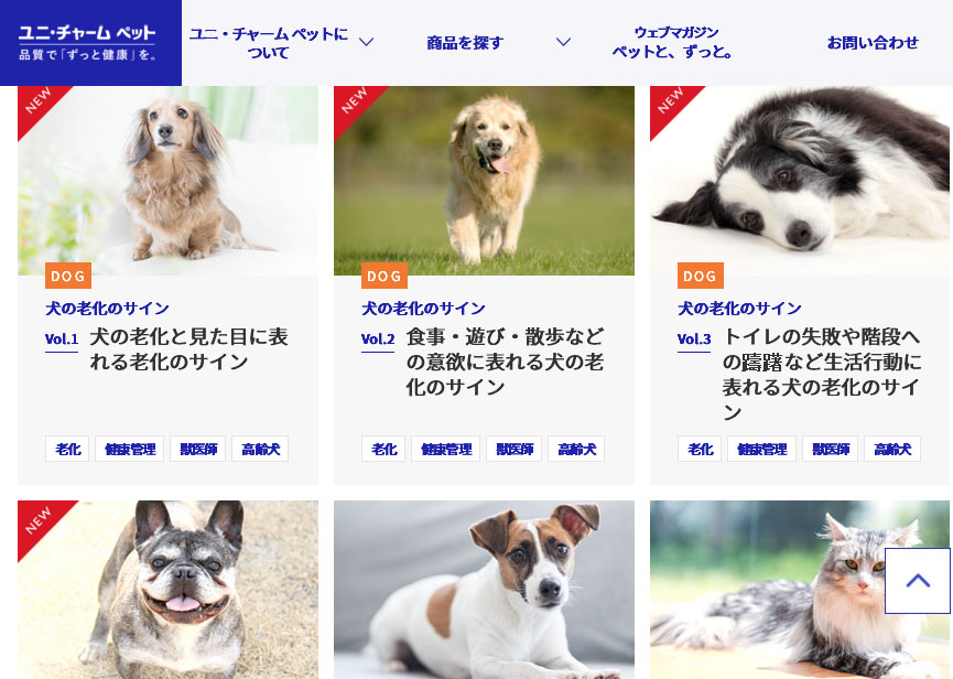 日本嬌聯公司致力寵物市場,針對老齡貓狗推出多項產品,也關注員工家裡的毛小孩。 日本嬌聯公司致力寵物市場,針對老齡貓狗推出多項產品,也關注員工家裡的毛小孩。