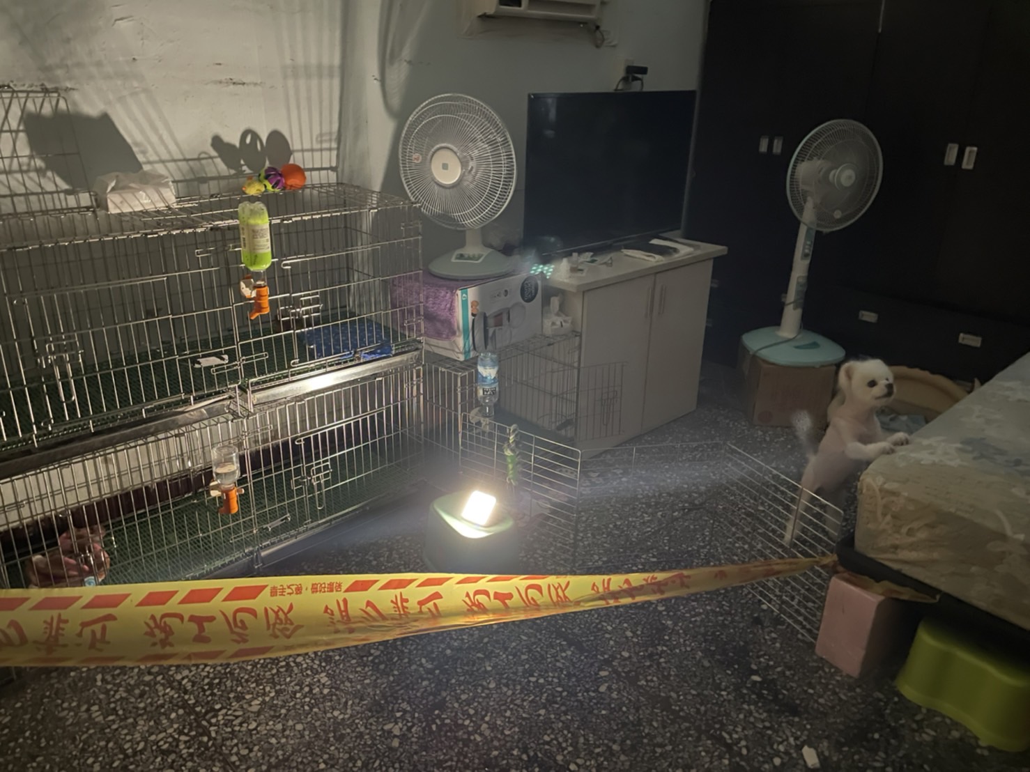 現場拉起封鎖線管制。 圖:新北市動保處提供 現場拉起封鎖線管制。 圖:新北市動保處提供