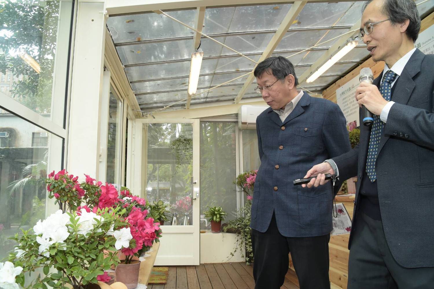 柯市長今天與臺大楊校長也共同為這次花節特別打造的臺大「園藝花坊展覽溫室」進行揭幕,這座從日治時代就在臺大建造完成的溫室花坊,由臺大園藝系重新改建復原,保留其中從日治時代就設置的特殊防蟲設備,還有多種特殊品種的杜鵑展示。 圖:翻攝自台北市政府網站 柯市長今天與臺大楊校長也共同為這次花節特別打造的臺大「園藝花坊展覽溫室」進行揭幕,這座從日治時代就在臺大建造完成的溫室花坊,由臺大園藝系重新改建復原,保留其中從日治時代就設置的特殊防蟲設備,還有多種特殊品種的杜鵑展示。 圖:翻攝自台北市政府網站