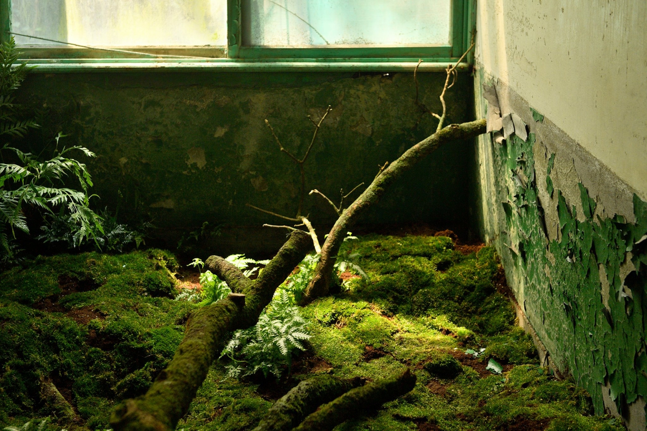 蕨類青苔等潮濕屬性的植物介入現場,象徵自然生命的無限綿延。 圖:翻攝自基隆市政府網站 蕨類青苔等潮濕屬性的植物介入現場,象徵自然生命的無限綿延。 圖:翻攝自基隆市政府網站