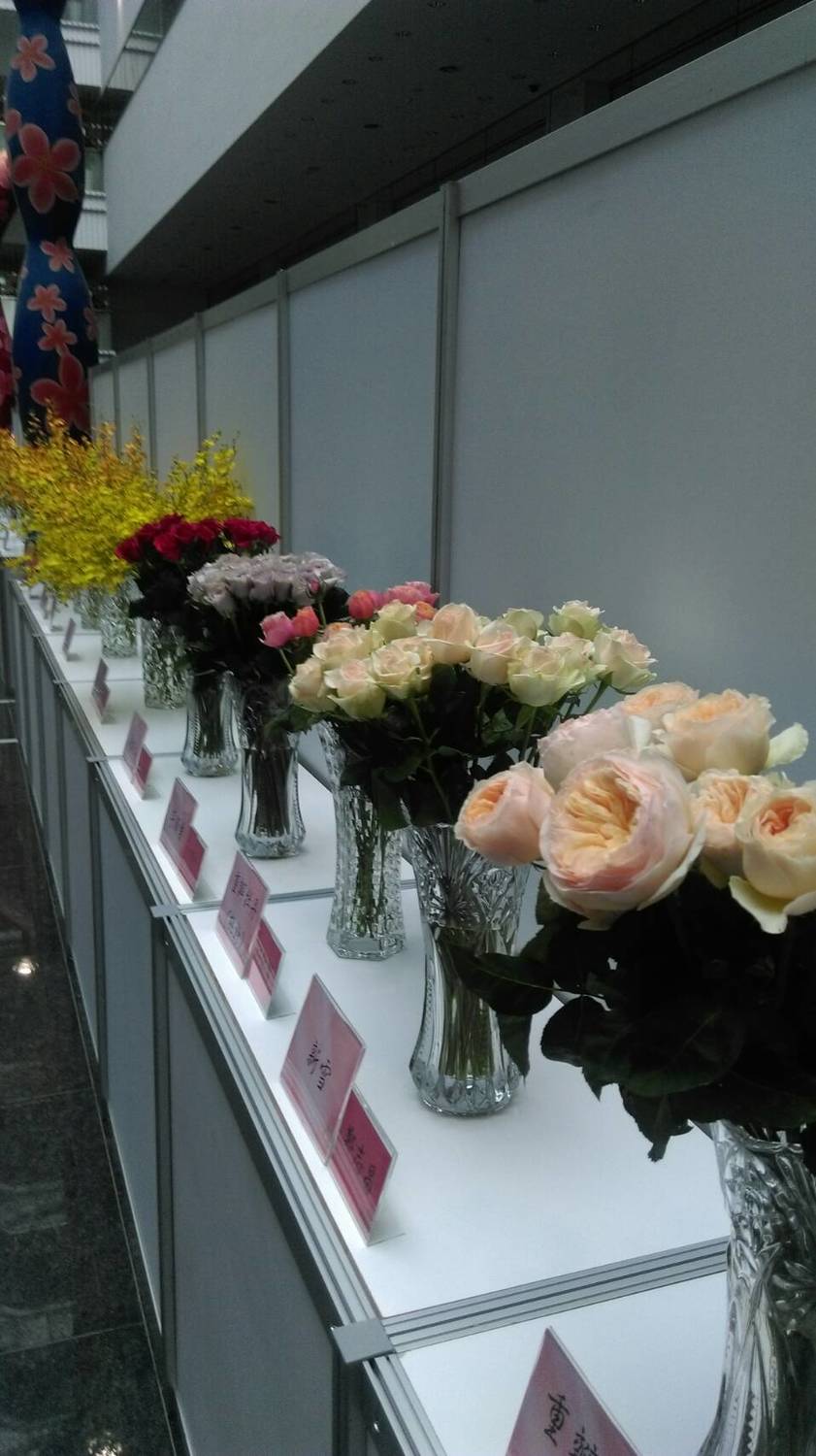 2017花卉品種評比及展示,花卉展示期間並舉辦現場投票評比活動,邀請民眾踴躍為自己心目中最美的花卉品種投下一票。 圖:台中市政府提供 2017花卉品種評比及展示,花卉展示期間並舉辦現場投票評比活動,邀請民眾踴躍為自己心目中最美的花卉品種投下一票。 圖:台中市政府提供