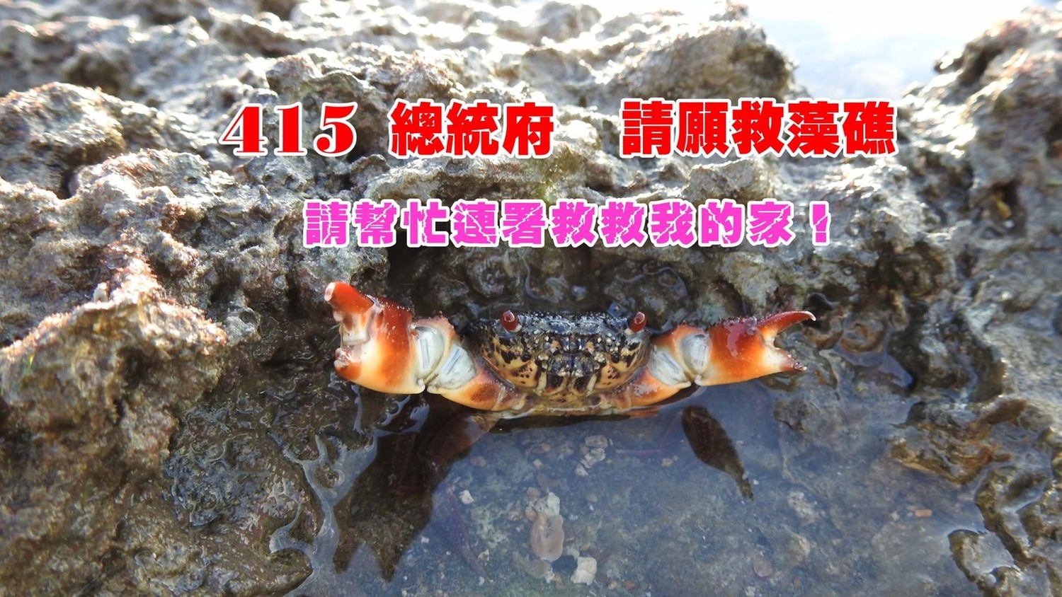 本週日(15)桃園在地聯盟邀請民眾團體一起上凱道向總統蔡英文請願。 圖:桃園在地聯盟提供。 本週日(15)桃園在地聯盟邀請民眾團體一起上凱道向總統蔡英文請願。 圖:桃園在地聯盟提供。