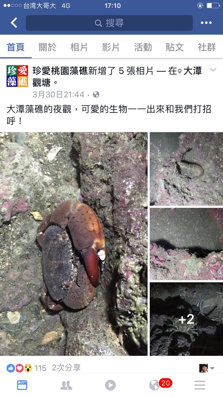 桃園大潭電廠前的觀音藻礁的臉書網頁。 圖:桃園在地聯盟提供。 桃園大潭電廠前的觀音藻礁的臉書網頁。 圖:桃園在地聯盟提供。