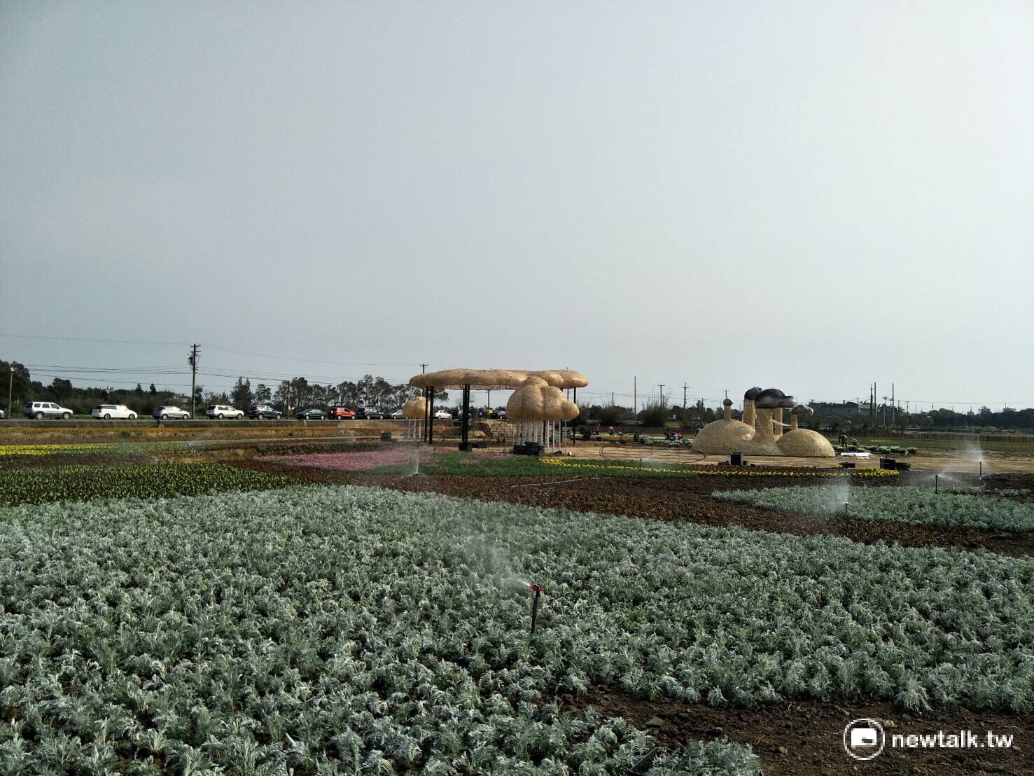 2017桃園農業博覽會 圖:桃園市政府提供 2017桃園農業博覽會 圖:桃園市政府提供