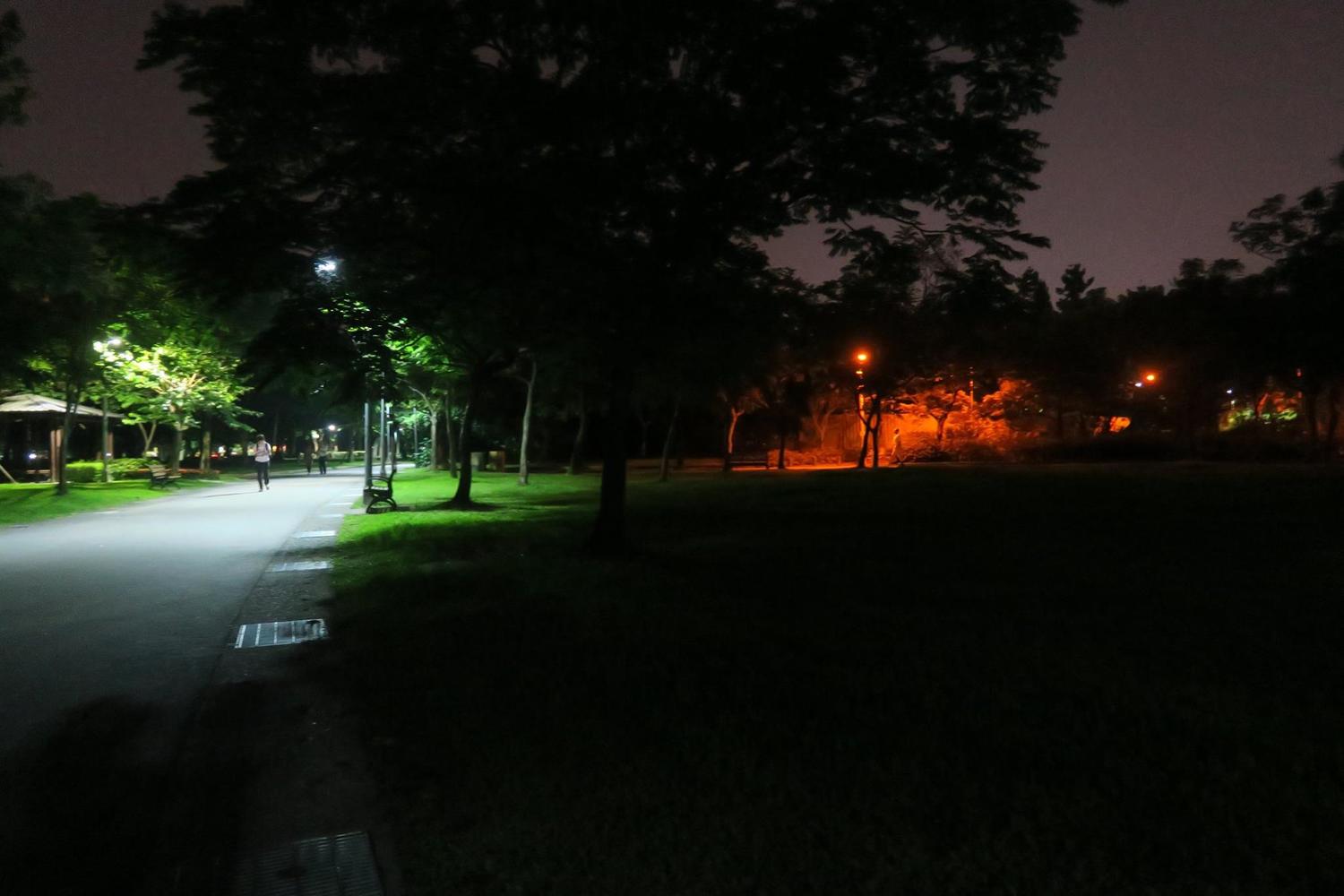 台北木柵翠湖公園螢光點點。 台北木柵翠湖公園螢光點點。