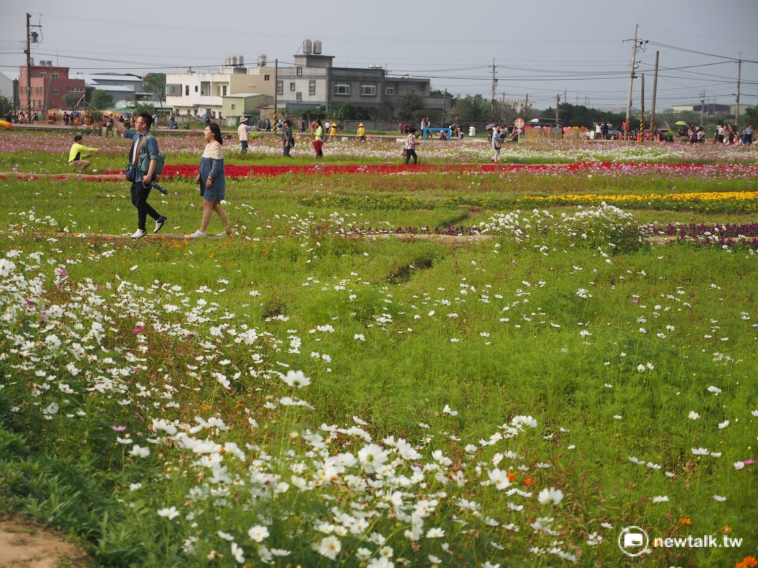 溪海位於桃園市西北邊,是台灣重要的花卉生產基地,今年桃市府將輔導溪海里劃為休閒農業區,主打「漫步田園樂、徜徉花海趣」的休閒產業。 圖:彭素華攝 溪海位於桃園市西北邊,是台灣重要的花卉生產基地,今年桃市府將輔導溪海里劃為休閒農業區,主打「漫步田園樂、徜徉花海趣」的休閒產業。 圖:彭素華攝