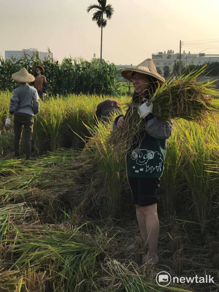 台灣小農必須聯合起來,不再單打獨鬥,才能打通農業經濟的任督二脈。 台灣小農必須聯合起來,不再單打獨鬥,才能打通農業經濟的任督二脈。