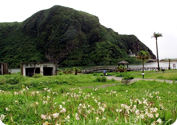 龜山島保留了相當原始的自然生態,大片野百合為小小的島嶼帶來一點春天氣息。 圖:東北角暨宜蘭海岸國家風景區管理處提供 龜山島保留了相當原始的自然生態,大片野百合為小小的島嶼帶來一點春天氣息。 圖:東北角暨宜蘭海岸國家風景區管理處提供