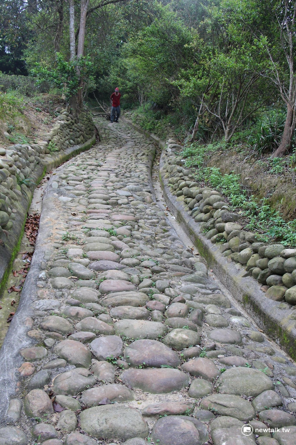 保甲古道2014年經在地居民重新修葺,重拾百年榮景。 圖:呂晏慈攝 保甲古道2014年經在地居民重新修葺,重拾百年榮景。 圖:呂晏慈攝