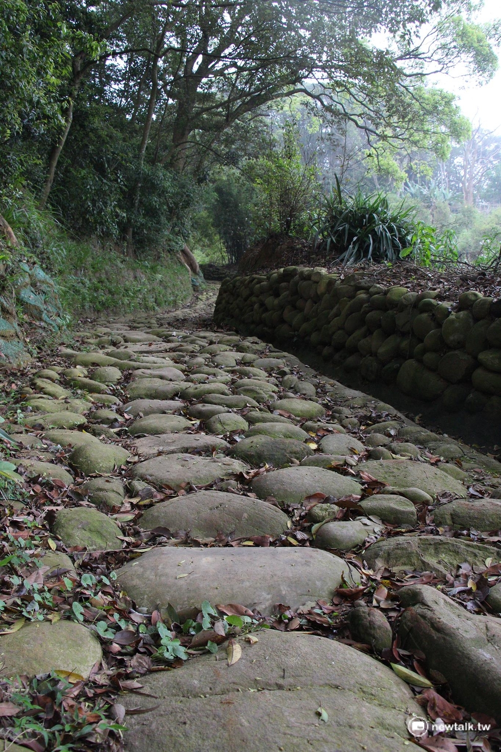保甲古道採客家傳統工法「石砌駁坎」砌成,中央主石大而兩側小,坡度平穩,昔有「挑擔古道」之名。 圖:呂晏慈攝 保甲古道採客家傳統工法「石砌駁坎」砌成,中央主石大而兩側小,坡度平穩,昔有「挑擔古道」之名。 圖:呂晏慈攝