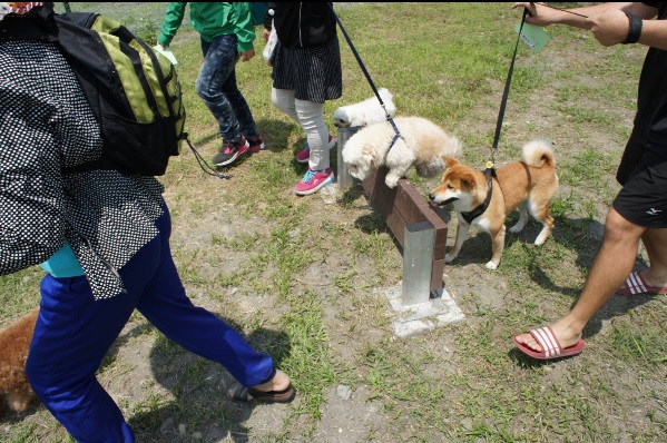 今(29日)日舉辦首座寵物公園開幕活動 今(29日)日舉辦首座寵物公園開幕活動