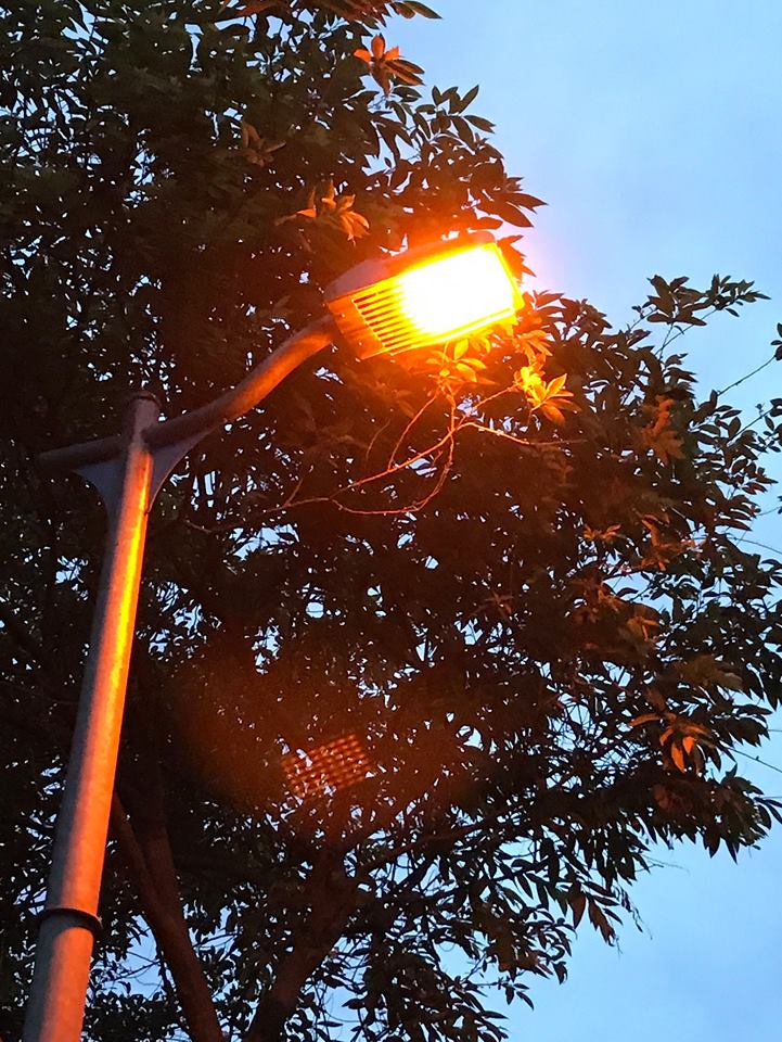 為避免光害影響螢火蟲的生存環境, 讓螢火蟲能安居繁殖的關鍵就在「光源」,路燈亮不亮大有關係。公園處除了熄燈外,路燈更加裝長、短型的遮光罩及有色濾光紙以減少光害。 圖:台北市工務局/提供 為避免光害影響螢火蟲的生存環境, 讓螢火蟲能安居繁殖的關鍵就在「光源」,路燈亮不亮大有關係。公園處除了熄燈外,路燈更加裝長、短型的遮光罩及有色濾光紙以減少光害。 圖:台北市工務局/提供
