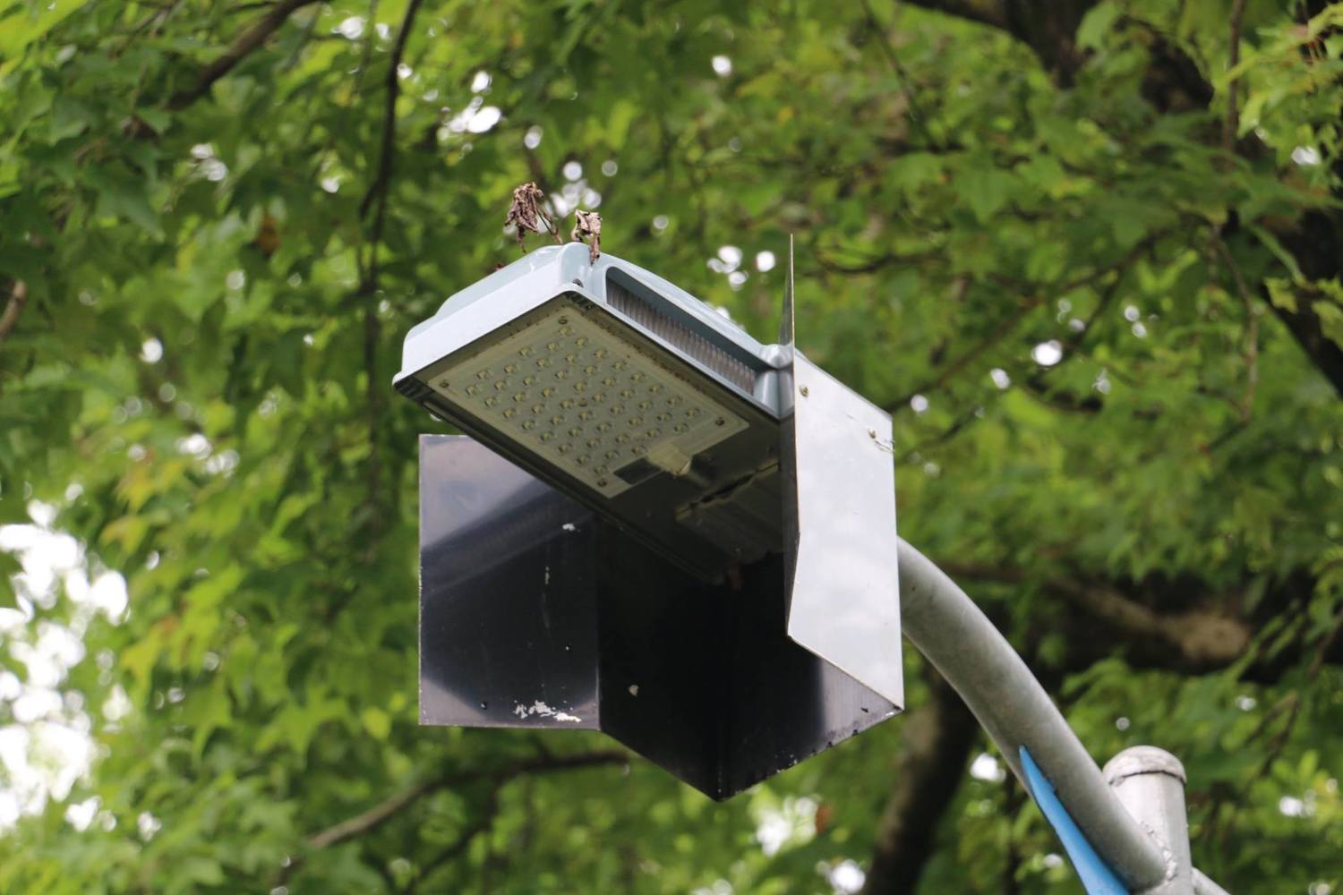 LED燈廠商捐贈大安森林公園6盞螢火蟲專用LED燈之後,公園處亦將添置12盞螢火蟲專用LED燈,這種波長590nm較不會干擾螢火蟲,琥珀色光源人類可見,螢火蟲卻看不見,裝設在螢火蟲復育周邊,可避免對螢火蟲之影響。 圖:台北市工務局/提供 LED燈廠商捐贈大安森林公園6盞螢火蟲專用LED燈之後,公園處亦將添置12盞螢火蟲專用LED燈,這種波長590nm較不會干擾螢火蟲,琥珀色光源人類可見,螢火蟲卻看不見,裝設在螢火蟲復育周邊,可避免對螢火蟲之影響。 圖:台北市工務局/提供