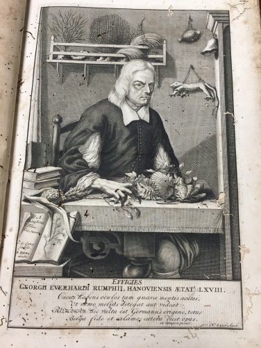 德裔荷蘭植物學家朗佛安斯(Georg Eberhard Rumphius)的《安波那博物誌》出版。 圖:台灣圖書館/提供 德裔荷蘭植物學家朗佛安斯(Georg Eberhard Rumphius)的《安波那博物誌》出版。 圖:台灣圖書館/提供