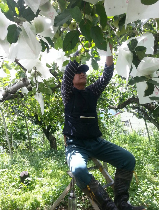 除了電玩以外,老蓋倫也非常喜歡栽種。 圖:老蓋倫「你不是最強的」提供 除了電玩以外,老蓋倫也非常喜歡栽種。 圖:老蓋倫「你不是最強的」提供