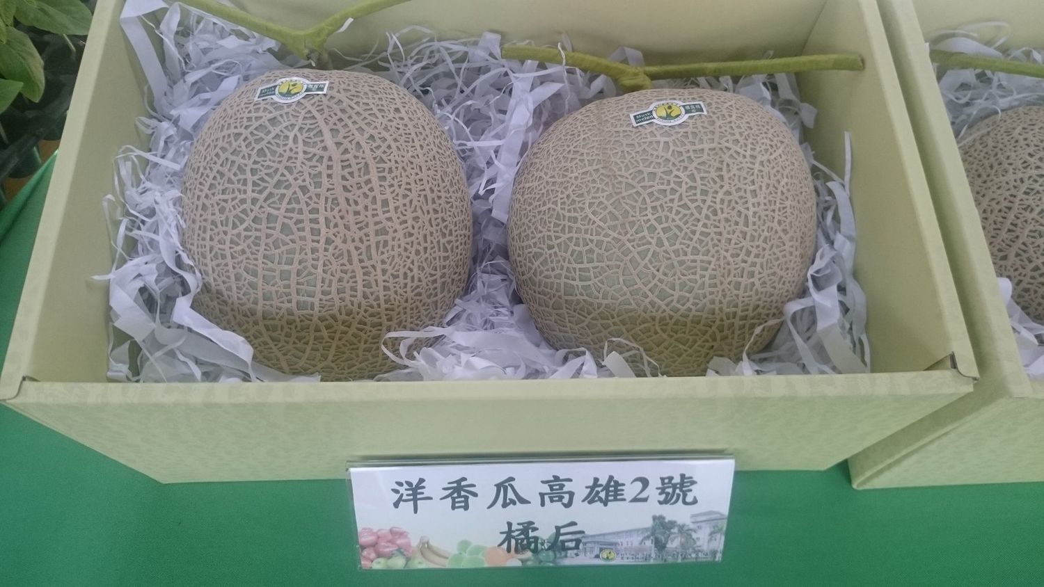 洋香瓜高雄2號禮盒,送禮自送都很適合。 圖:行政院農委會提供 洋香瓜高雄2號禮盒,送禮自送都很適合。 圖:行政院農委會提供
