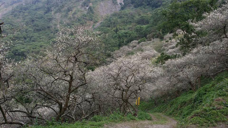 歷經八八風災後重建,目前茂林風景區已逐漸重建各個觀光景點,遊客可至此尋幽訪勝。 圖:翻攝自Fun心遊茂林臉書 歷經八八風災後重建,目前茂林風景區已逐漸重建各個觀光景點,遊客可至此尋幽訪勝。 圖:翻攝自Fun心遊茂林臉書