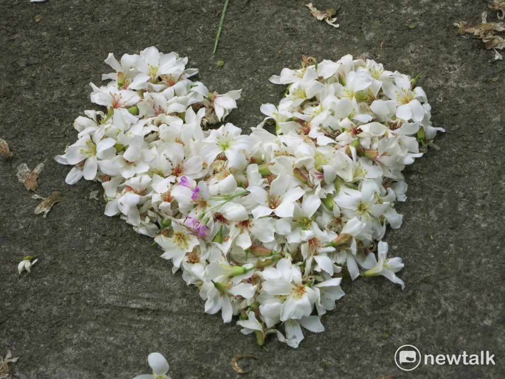 明年台中將舉行世界花卉博覽會,屆時將結合客家桐花祭,從后里擴大至外埔,讓整個花博展區成為台中的大花園,讓世界看到城市之美。
圖:台中觀光旅遊網/提供 明年台中將舉行世界花卉博覽會,屆時將結合客家桐花祭,從后里擴大至外埔,讓整個花博展區成為台中的大花園,讓世界看到城市之美。
圖:台中觀光旅遊網/提供