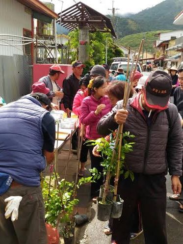 居民踴躍響應種植紫藤樹苗,一起打造紫藤山城。 圖:參山處提供 居民踴躍響應種植紫藤樹苗,一起打造紫藤山城。 圖:參山處提供