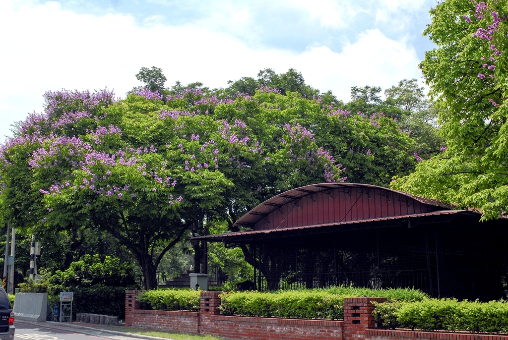嘉義公園擁有百年歷史。 圖:翻攝自台灣觀光年曆 嘉義公園擁有百年歷史。 圖:翻攝自台灣觀光年曆