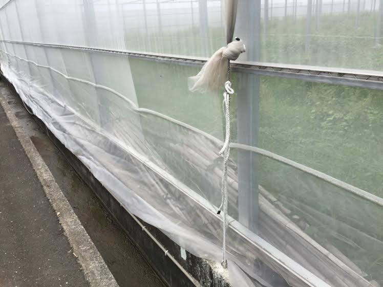 梅雨將自6月1日起影響台灣,中南部地區將有局部大雨或豪雨發生的機率,高雄農改場籲及早準備因應。 圖:高雄農改場提供 梅雨將自6月1日起影響台灣,中南部地區將有局部大雨或豪雨發生的機率,高雄農改場籲及早準備因應。 圖:高雄農改場提供