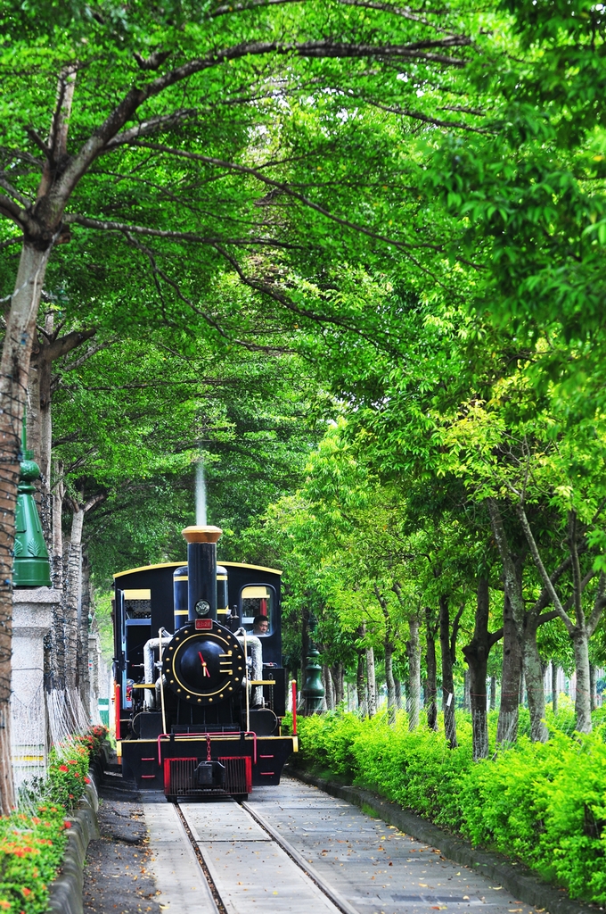 集集的綠色隧道多與鐵道比鄰,可以看見火車緩緩行駛的景象 圖:交通部觀光局提供 集集的綠色隧道多與鐵道比鄰,可以看見火車緩緩行駛的景象 圖:交通部觀光局提供