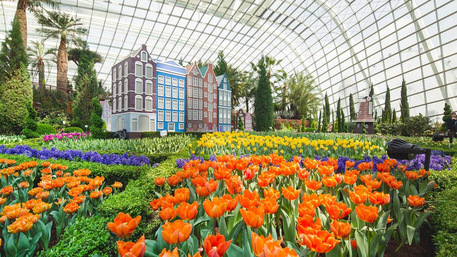 在6月3日和4日舉行的濱海灣花園五週年慶祝活動的「奇異大匯演」,其中的特效就包括了從華僑銀行空中走道和擎天樹叢的地面投射烈焰 在6月3日和4日舉行的濱海灣花園五週年慶祝活動的「奇異大匯演」,其中的特效就包括了從華僑銀行空中走道和擎天樹叢的地面投射烈焰