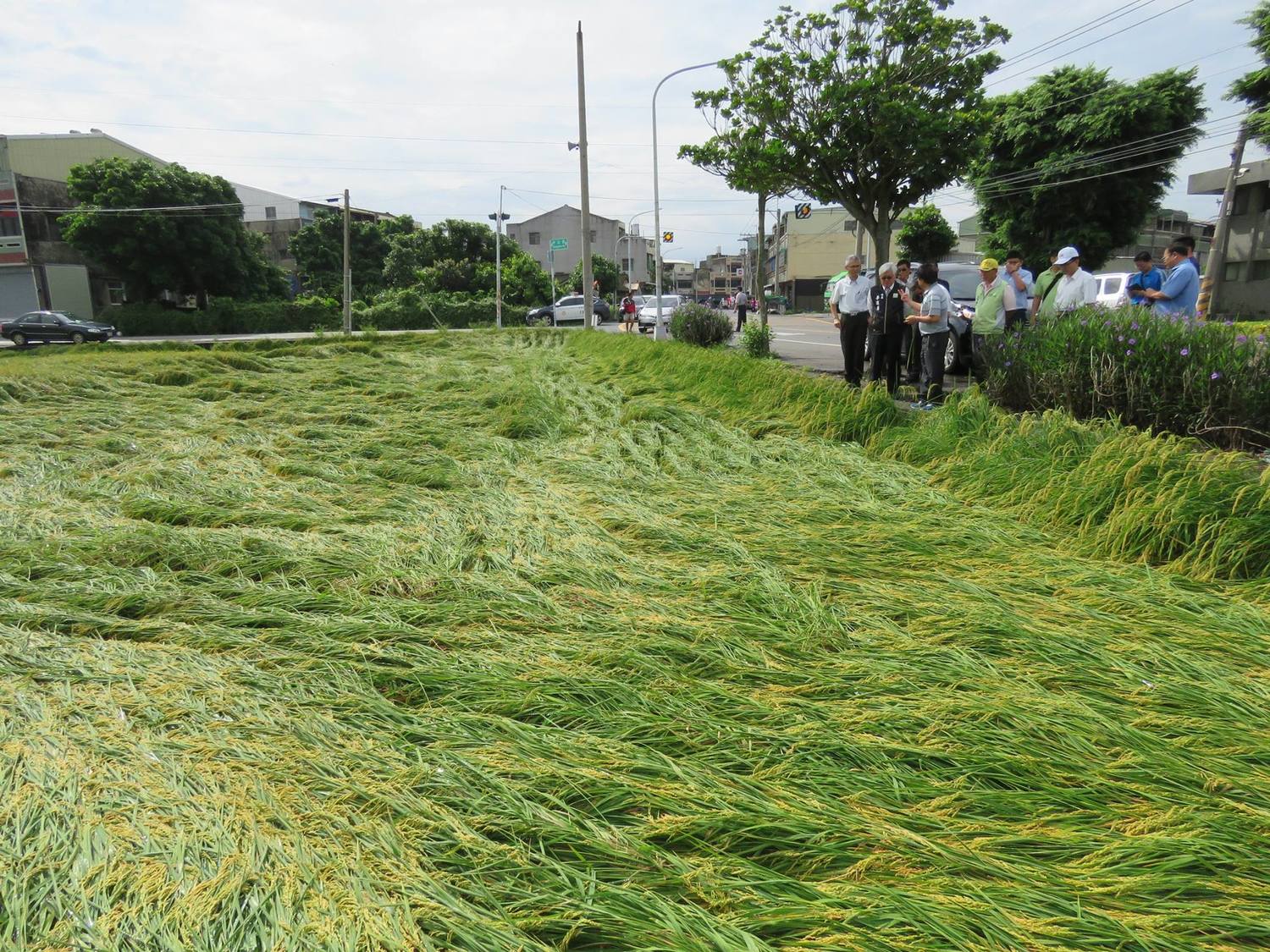雲林縣埤鄉延潭大排土堤脆弱,岌岌可危,集水區內西鎮、北鎮、興安、聯美村等地勢低漥排水不良. 雲林縣埤鄉延潭大排土堤脆弱,岌岌可危,集水區內西鎮、北鎮、興安、聯美村等地勢低漥排水不良.