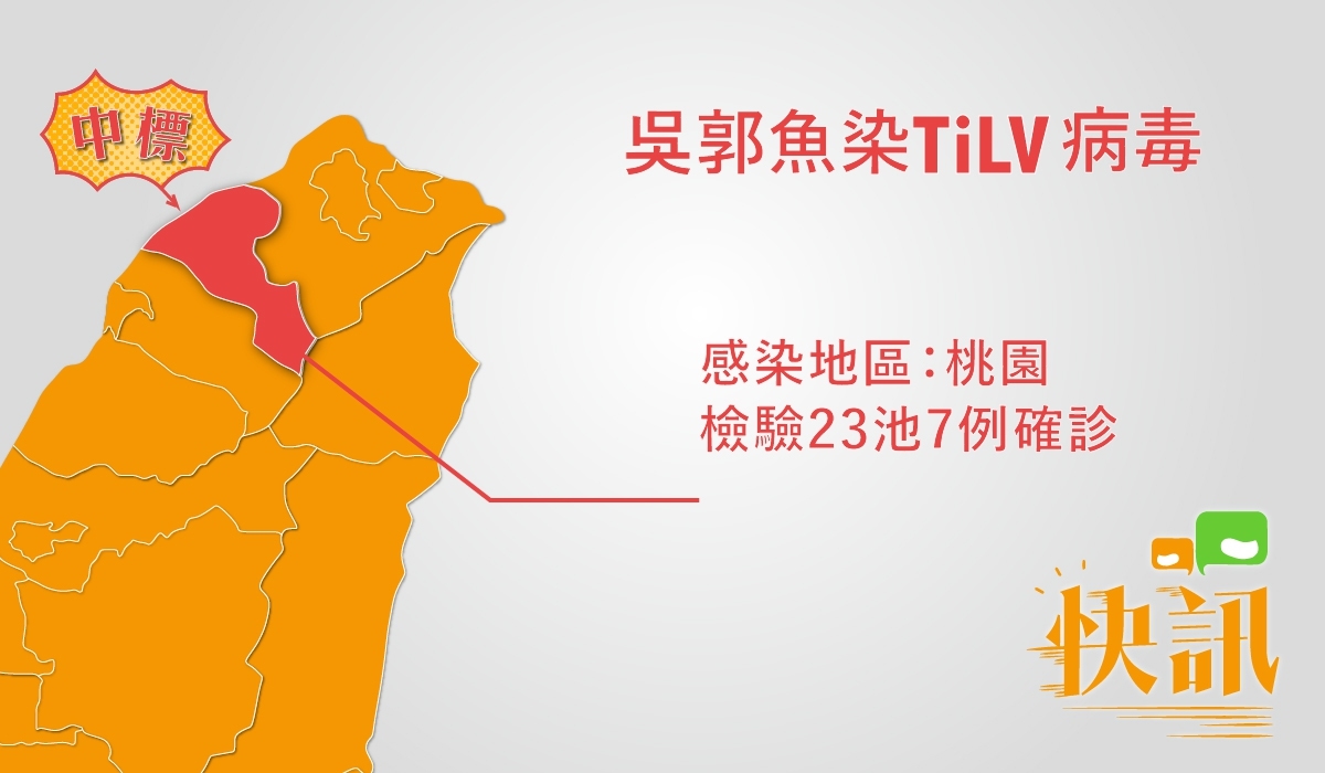 吳郭魚染湖泊病毒,農委會今天統計再驗出1例,自16日公布桃園首例起,半徑3公里內加上今(19日)天共7例感染,往上游追溯查驗石門水庫、共12個魚場都是陰性,未檢出病毒。 吳郭魚染湖泊病毒,農委會今天統計再驗出1例,自16日公布桃園首例起,半徑3公里內加上今(19日)天共7例感染,往上游追溯查驗石門水庫、共12個魚場都是陰性,未檢出病毒。