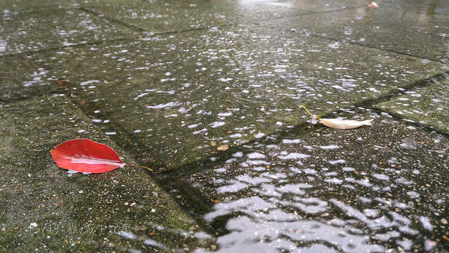 這兩日台灣受到梅雨鋒面的影響,午後對流活躍有局部午後短暫雷陣雨,全台高溫依舊,外出帶傘除了防曬亦可防雨。 這兩日台灣受到梅雨鋒面的影響,午後對流活躍有局部午後短暫雷陣雨,全台高溫依舊,外出帶傘除了防曬亦可防雨。