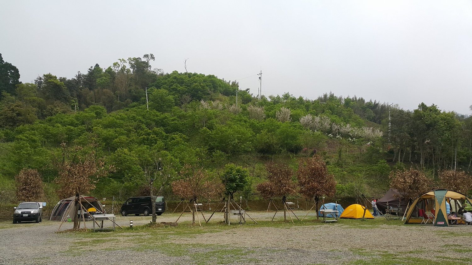 新竹天景露營區內有種植櫻花林,不同季節、不同時間都可以欣賞到美麗的風景 圖:天景露營區提供 新竹天景露營區內有種植櫻花林,不同季節、不同時間都可以欣賞到美麗的風景 圖:天景露營區提供