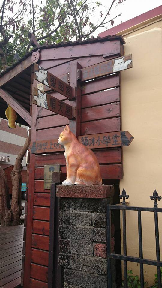 雲林頂溪社區內有許多貓咪雕塑,和遊客們玩著躲貓貓,超級可愛 圖:頂溪社區屋頂上的貓提供 雲林頂溪社區內有許多貓咪雕塑,和遊客們玩著躲貓貓,超級可愛 圖:頂溪社區屋頂上的貓提供