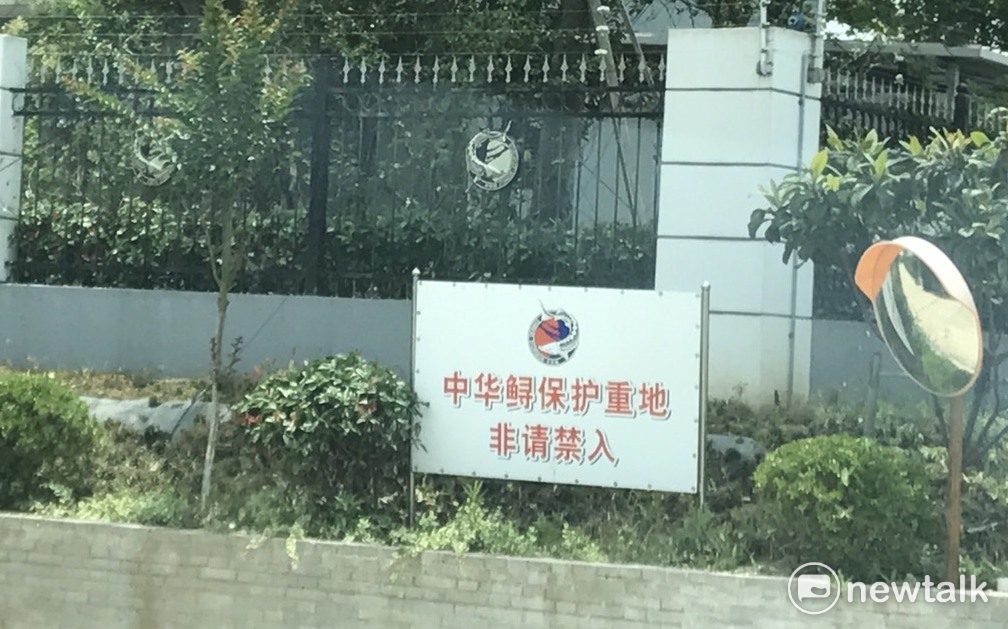 中華鱘保護區門禁森嚴。 圖:周煊惠/攝 中華鱘保護區門禁森嚴。 圖:周煊惠/攝