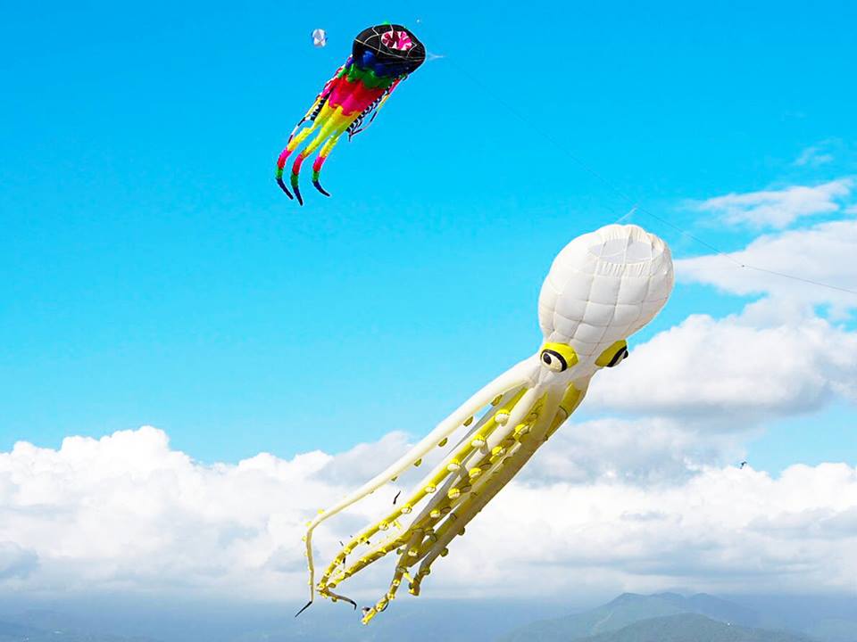 造型風箏及特技風箏在天空齊飛,搭配旗津黑沙海岸及湛藍的天空,無敵美景,保證讓大家的夏天精彩繽紛。 圖:高雄市觀光局提供 造型風箏及特技風箏在天空齊飛,搭配旗津黑沙海岸及湛藍的天空,無敵美景,保證讓大家的夏天精彩繽紛。 圖:高雄市觀光局提供