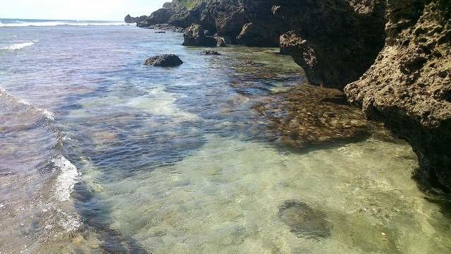 多樣海底生物潛藏礁石之間,但這樣的海洋美景近年卻受到嚴重傷害。 圖:小琉球旅遊資訊網提供 多樣海底生物潛藏礁石之間,但這樣的海洋美景近年卻受到嚴重傷害。 圖:小琉球旅遊資訊網提供