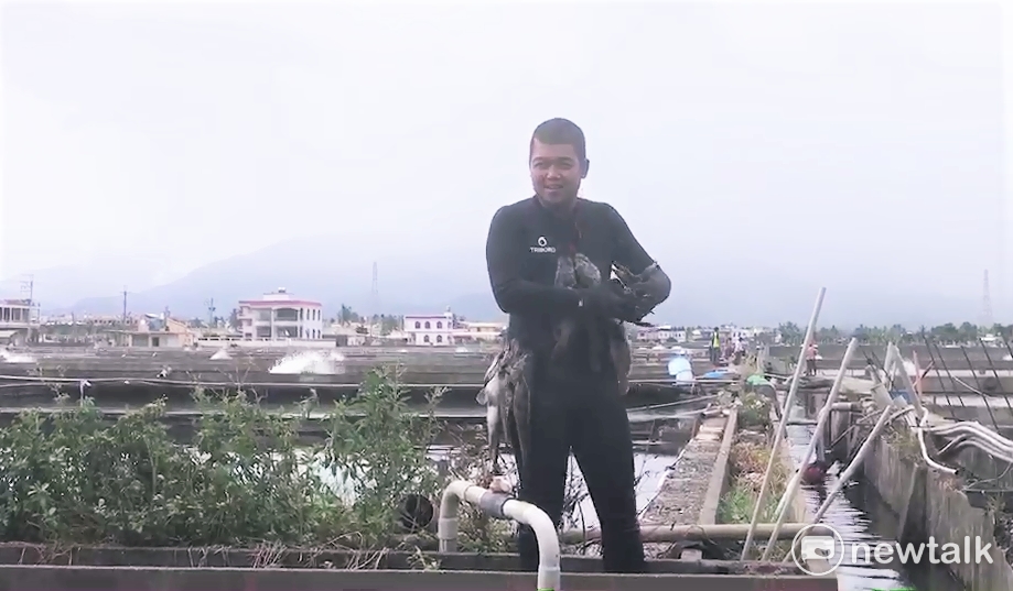 民眾身著潛水衣下水撈魚。 圖:民眾獨家提供 民眾身著潛水衣下水撈魚。 圖:民眾獨家提供