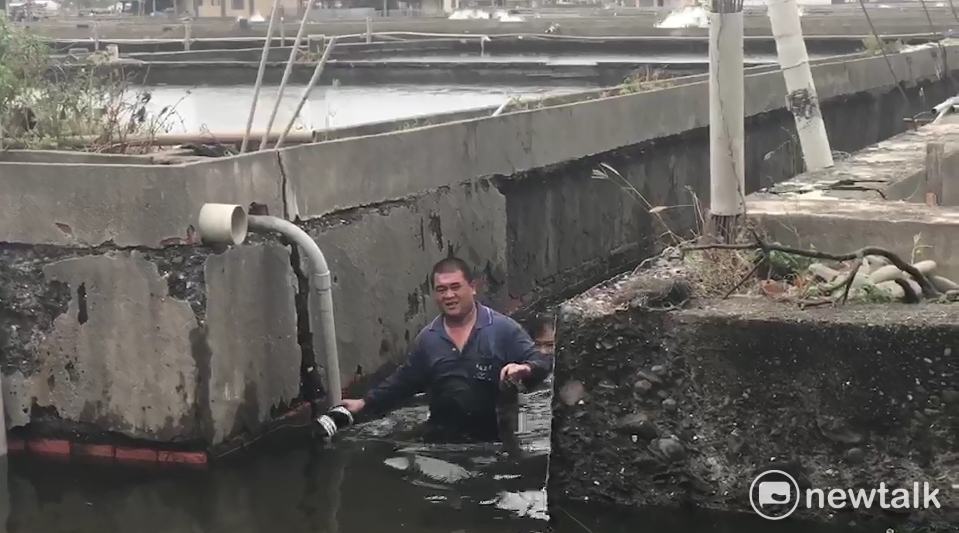 有養殖魚塘因昨晚暴雨水漫過堤邊,導致養殖魚類跑出魚塘游進一旁的大排水溝中,民眾下水撈魚。 圖:民眾獨家提供 有養殖魚塘因昨晚暴雨水漫過堤邊,導致養殖魚類跑出魚塘游進一旁的大排水溝中,民眾下水撈魚。 圖:民眾獨家提供